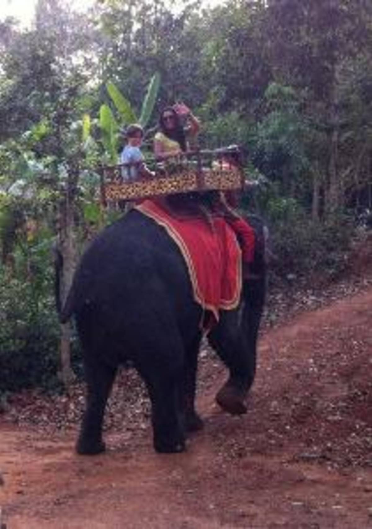 Volunteer Vacation - Rediscovering Cambodia — photo 3